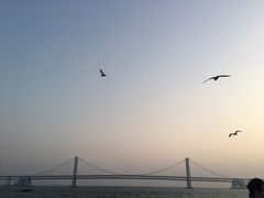 -星海湾跨海大桥