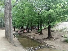 -白水寺森林公园