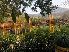 -杭州少年儿童公园