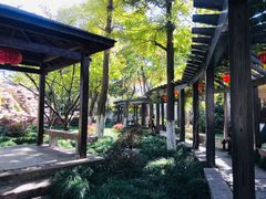 -嘉定紫藤园