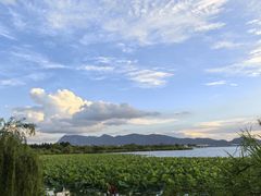 -一朵菌·野生菌探索家火锅(南亚店)