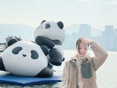 -映月楼