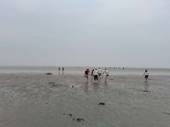 -南汇嘴观海公园