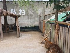-乌村