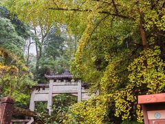 -凤栖山