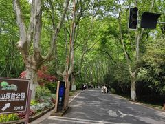 -WeLope紫金山探险公园