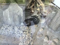 -上海野生动物园