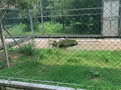 -下渚湖国家湿地公园科普馆