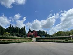 -东平国家森林公园