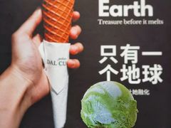 燕麦地球-Dal Cuore 达可芮冰淇淋(陕西北路店)