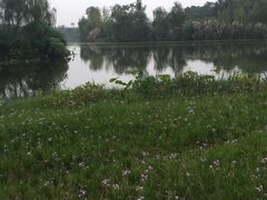 -白鹭湾湿地公园