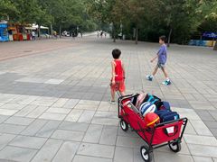 -朝阳公园游乐园