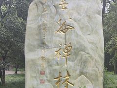 -灵谷景区