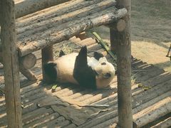 -大连森林动物园