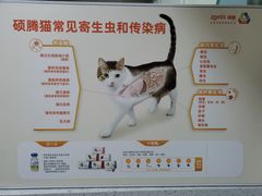 -瑞鹏宠物医院·微创内窥镜·骨外科·牙科(翠竹分院)