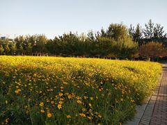 -辽宁大学(崇山校区)