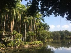 -滴水岩森林公园