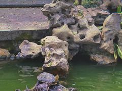 -普陀山风景名胜区-法雨禅寺
