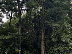 -杭州植物园
