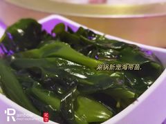 海带苗-gleeglee乐溢亦茶(合生汇店)