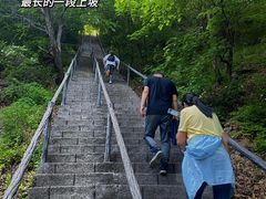 -茅兰沟国家森林公园