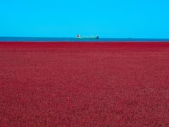 -红海滩国家风景廊道