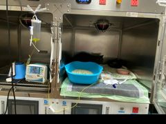 -康成宠物医院24H·CT·核磁共振