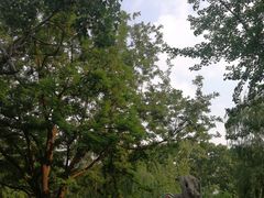 -山东师范大学(千佛山校区)