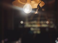 -毛辣果·酸