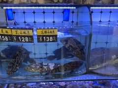 -日照大牌檔•小船海鲜(万平口店)