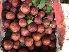 -三亚新鸿港水果一级批发市场