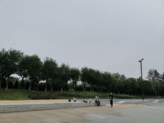 -汉长安城未央宫国家考古遗址公园