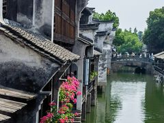 -乌镇西栅景区