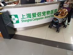 -爱侣宠医·鹦鹉专科·小型哺乳类·异宠专科(灵石路店)