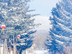 -亚布力新体委滑雪场