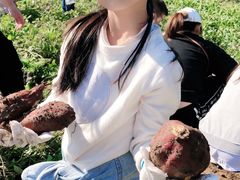 -前小桔亲子创意农场·草莓采摘·露营烧烤