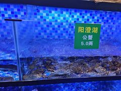 -七的湖·晚芳亭·阳澄湖农家菜·大闸蟹(莲花岛店)