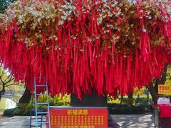-狼山风景名胜区