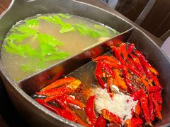 草本鸳鸯锅-盡膳口福跷脚牛肉火锅(晶耀前滩店)