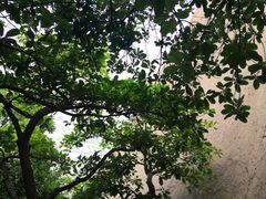 -云洞岩风景区