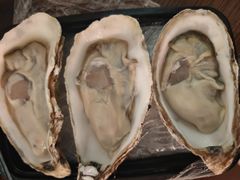 -冰之海挪威三文鱼(海珠店)