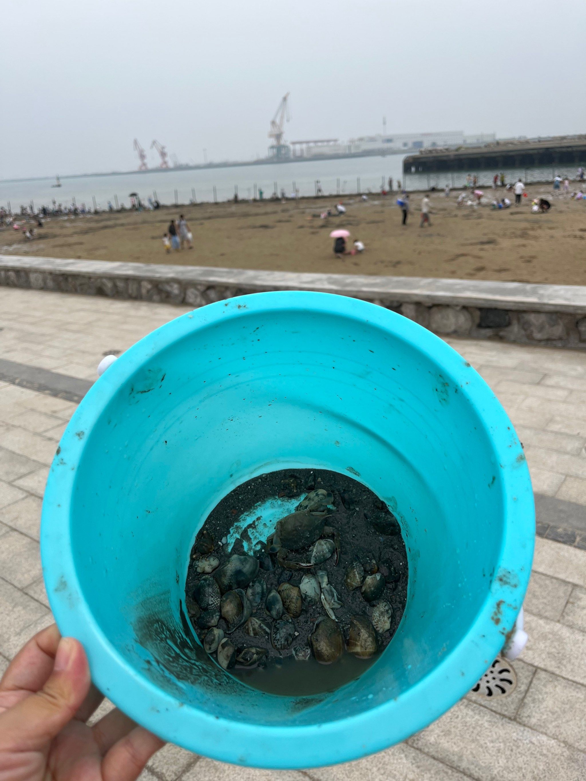 东疆湾天气预报