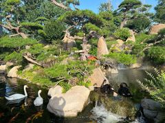 -罗红摄影艺术馆