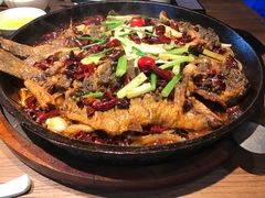 -老板恋上鱼(印象城店)