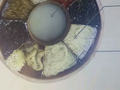 -湯太宗不翻湯