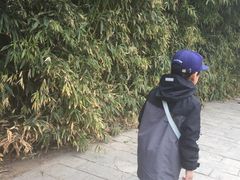 -丰台花园
