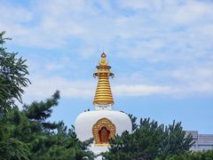 -护国法轮寺