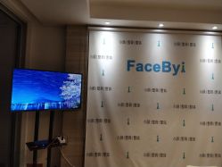 -FACE·日本小颜矫正美容整骨サロン