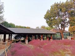 -龙吟九品(青龙山庄店)