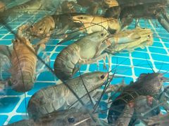 -蓝珊甄选海鲜自助·火锅大排档(近阿那亚店)